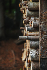 Firewood stacked in order to dry, prepared for winter