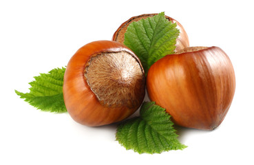 hazelnuts with leaves isolated on white background. macro