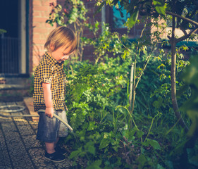 Little toddler boy watering the garden at sunset