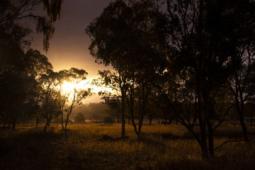 Fototapeta na wymiar Last rays of sunlight over paddocks and fields on a chilly winters evening in Stanthorpe, Queensland, Australia