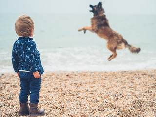 Little toddler on beach watching dog jump