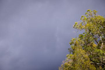 Dry, drought conditions and landscape in Stanthorpe on a stormy afternoon