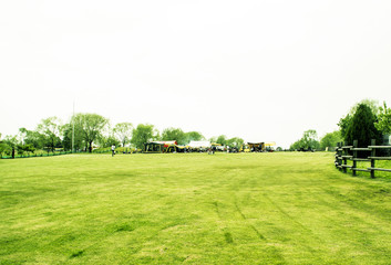 grass camping rest