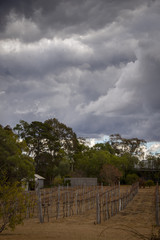Dry, drought conditions and landscape in Stanthorpe on a stormy afternoon
