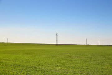 Fototapeta na wymiar Beautiful view of green field with tall utility poles standing on background of clear blue sky