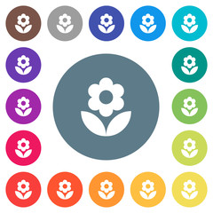 Flower flat white icons on round color backgrounds