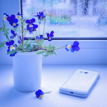 Bouquet of wildflowers and a mobile phone on the windowsill. Blue flowers pansies. Toned image.