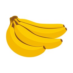 Vector illustration icon of a banana