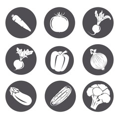 Vector illustration icons of a vegetables
