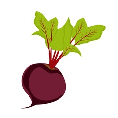 Vector illustration icon of a beetroot