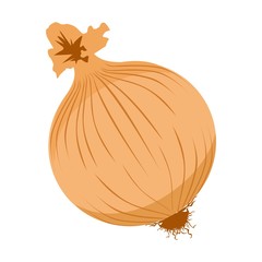 Vector illustration icon of a onion