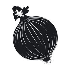 Vector illustration icon of a onion