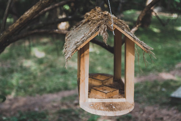Wooden bird feeder on branch