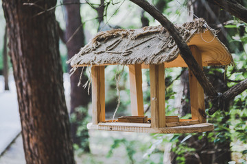 Wooden bird feeder on branch