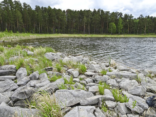Fototapeta na wymiar Summer landscape: forest lake in cloudy weather
