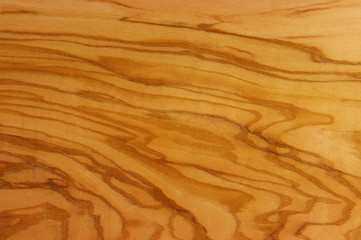 The painting of wood, olive tree, auxiliary view.