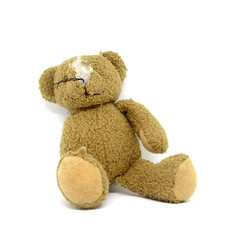 Teddy Bear demolished after being bitten by dogs.