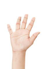 Right hand shown as number Five from front isolated on white background.