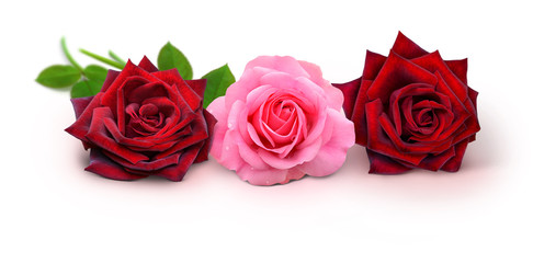 Blumen 941