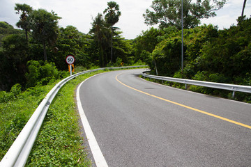 Highway curve in forest 