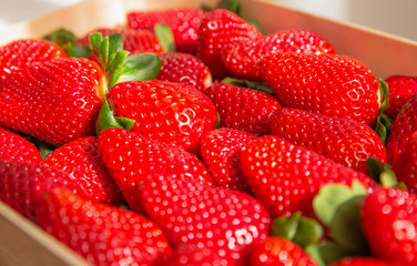 Closeup of tasty spanish strawberries freshly collected on a wooden box