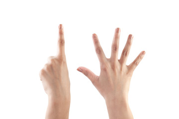 Right hand shown as number Six from back isolated on white background.