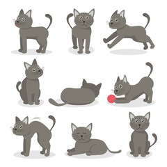 Cartoon Characters Tabby Cat Set. Vector
