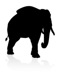 Elephant Animal Silhouette