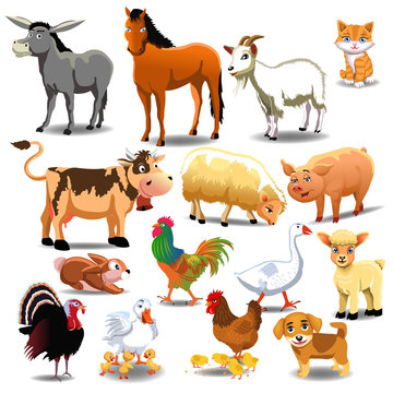 farm animals like donkey, horse, cow, sheep, pig and others