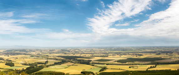 Canterbury plains