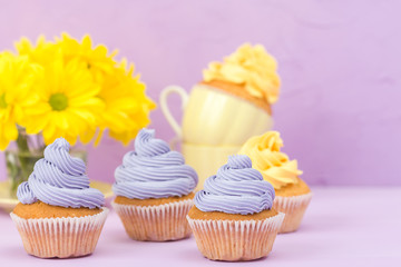 Cupcakes decorated with yellow and violet cream and chrysanthemums on violet pastel background for greeting card with copyscape.