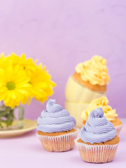Cupcakes decorated with yellow and violet cream and chrysanthemums on violet pastel background for greeting card with copyscape.