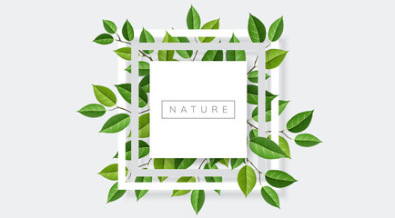 Geometric nature frame with tree branches and leaves. Vector illustration for nature related and eco design - 208885089