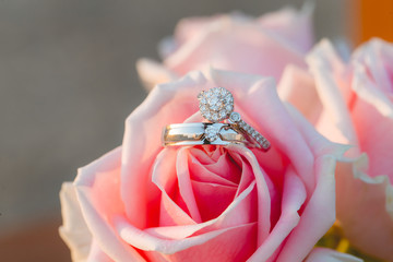 Wedding diamond rings and rose petals