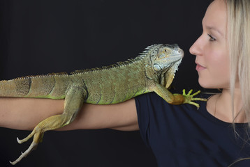 Beautiful girl portrait and green iguana
