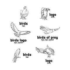 Fototapeta premium Hand-drawn pencil graphics. Birds of prey set.