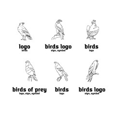 Hand-drawn pencil graphics. Birds of prey set. - 208886682