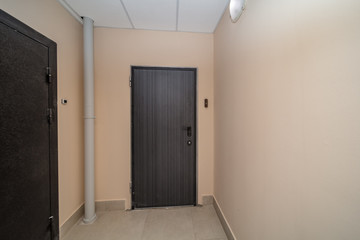 Naklejka premium apartment doors entrance