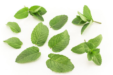 Fresh Mint Isolated on White