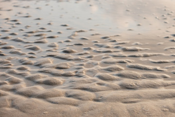 Wet sand beach texture for background