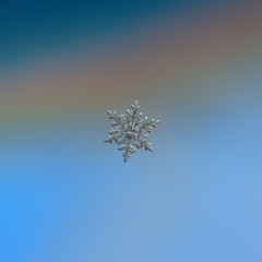 Snowflake glittering on light blue background. Macro photo of real snow crystal: large stellar dendrite with six long, elegant arms, glossy relief surface, fine hexagonal symmetry and ornate shape.