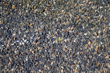 Small Rock Textured background, beach.