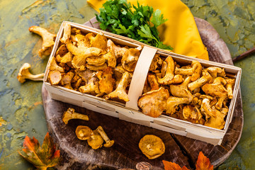 Frische Pfifferlinge (pilze)