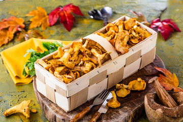 Frische Pfifferlinge (pilze)