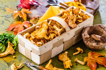 Frische Pfifferlinge (pilze)