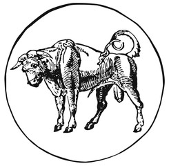 zodiac sign Taurus #vector #isolated - Sternzeichen Stier