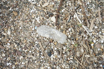 Plastikflasche am Strand