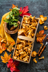 Frische Pfifferlinge (pilze)