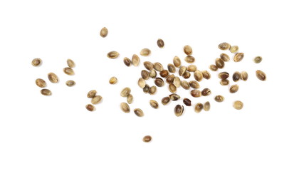 hemp seeds isolated on white background, top view