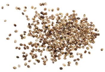 hemp seeds isolated on white background, top view